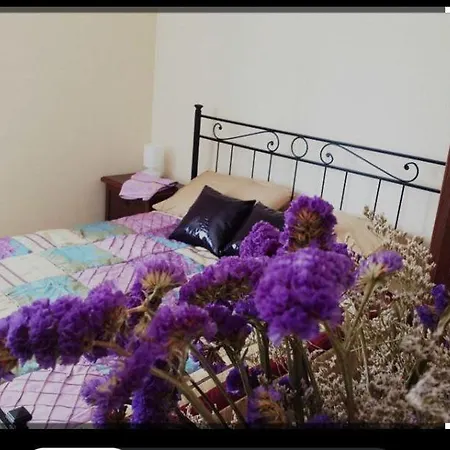 Bed & Breakfast In Campagna *